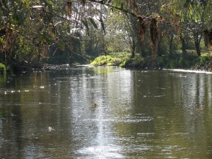 Verknė, verknės upė, plaukimas baidarėmis, baidarių nuoma, baidarės