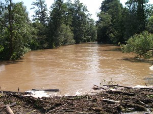 baidariu-nuoma-verkne-verknes-upe-baidares-mylosi012