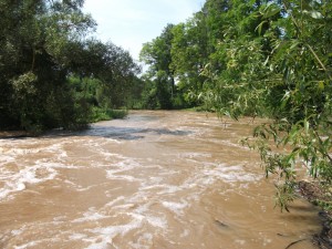 baidariu-nuoma-verkne-verknes-upe-baidares-mylosi014