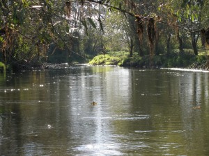 baidariu-nuoma-verkne-verknes-upe-baidares-mylosi043